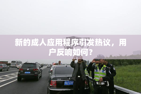 新的成人应用程序引发热议，用户反响如何？