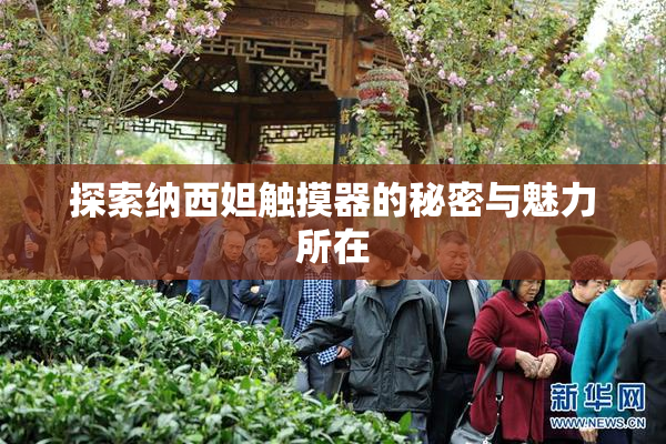 探索纳西妲触摸器的秘密与魅力所在