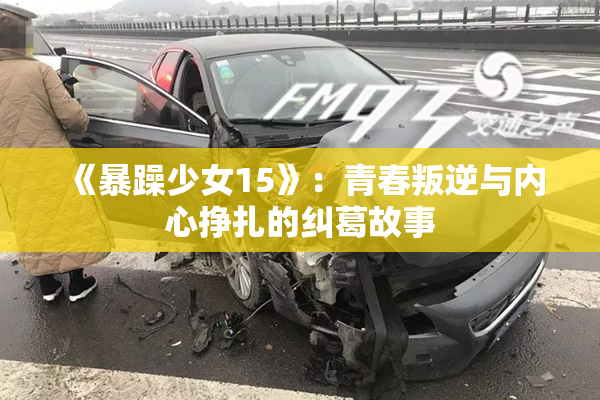 《暴躁少女15》：青春叛逆与内心挣扎的纠葛故事