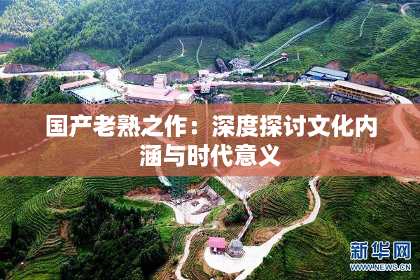 国产老熟之作：深度探讨文化内涵与时代意义