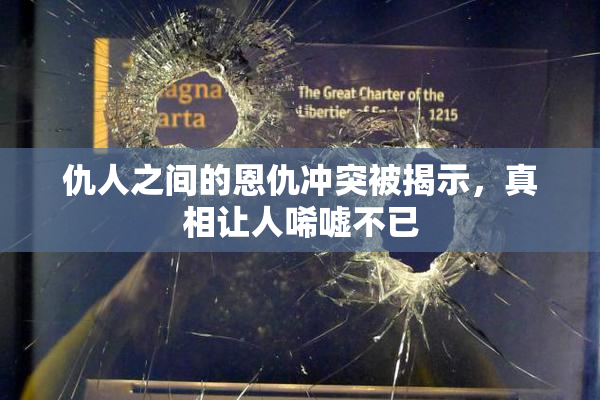 仇人之间的恩仇冲突被揭示，真相让人唏嘘不已