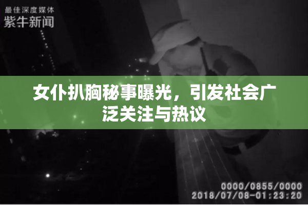 女仆扒胸秘事曝光，引发社会广泛关注与热议
