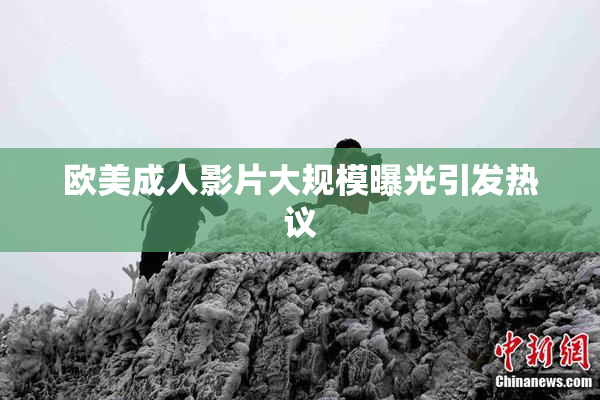 欧美成人影片大规模曝光引发热议