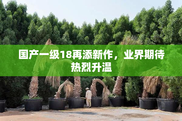 国产一级18再添新作，业界期待热烈升温
