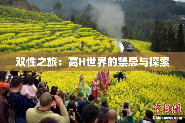 双性之旅：高H世界的禁忌与探索