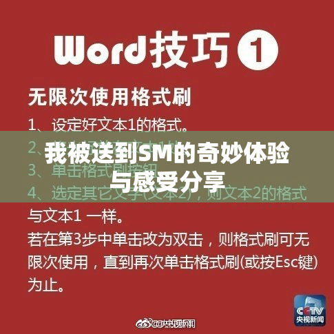 我被送到SM的奇妙体验与感受分享