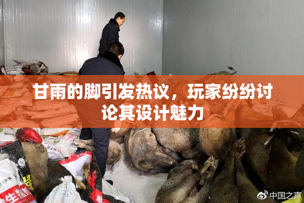甘雨的脚引发热议，玩家纷纷讨论其设计魅力
