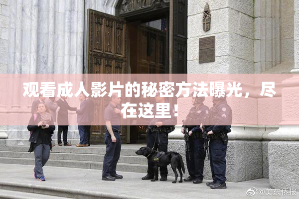 观看成人影片的秘密方法曝光，尽在这里！