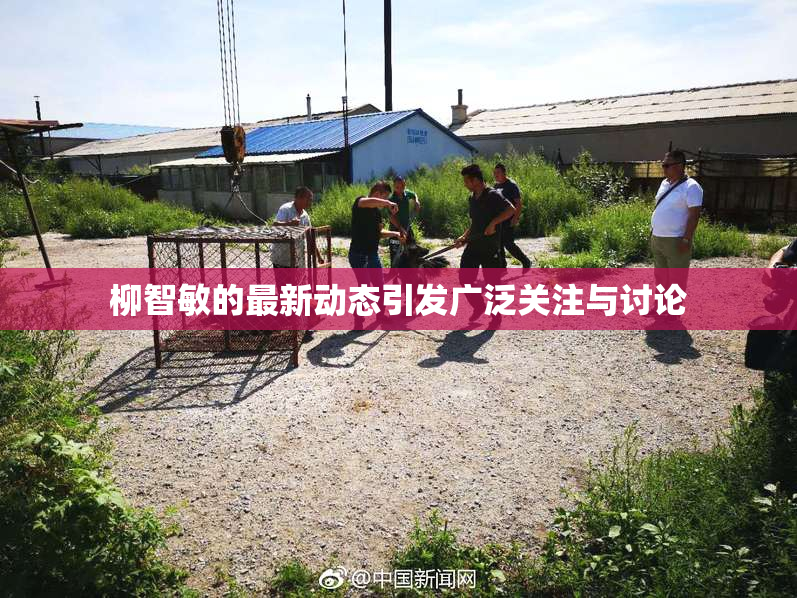 柳智敏的最新动态引发广泛关注与讨论