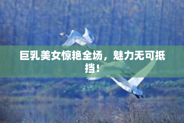 巨乳美女惊艳全场，魅力无可抵挡！