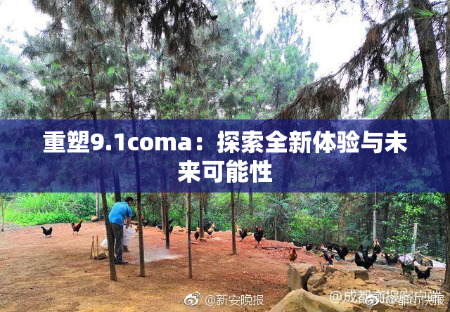 重塑9.1coma：探索全新体验与未来可能性