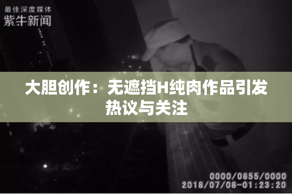 大胆创作：无遮挡H纯肉作品引发热议与关注