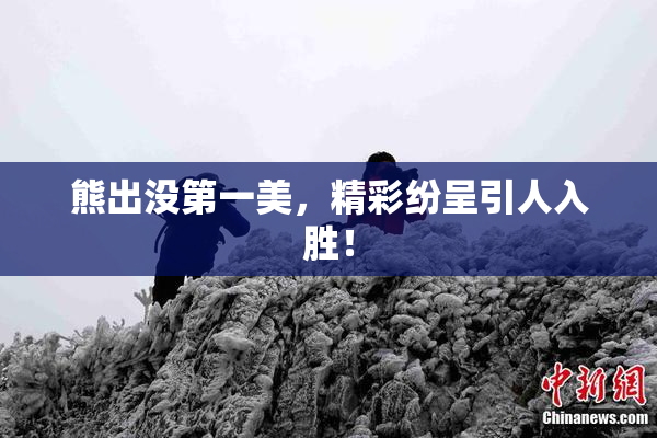 熊出没第一美，精彩纷呈引人入胜！
