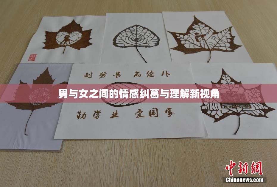 男与女之间的情感纠葛与理解新视角
