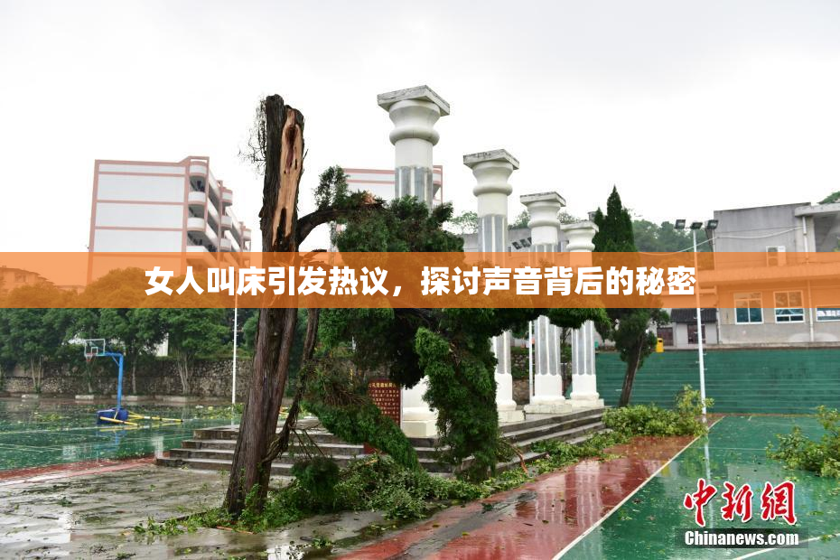 女人叫床引发热议，探讨声音背后的秘密
