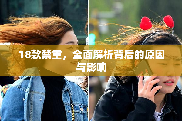 18款禁重，全面解析背后的原因与影响