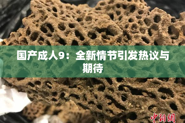 国产成人9：全新情节引发热议与期待