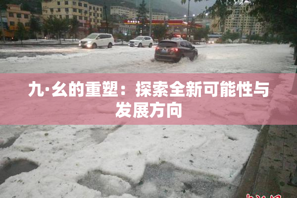 九·幺的重塑：探索全新可能性与发展方向