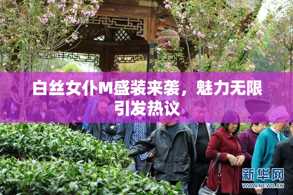 白丝女仆M盛装来袭，魅力无限引发热议