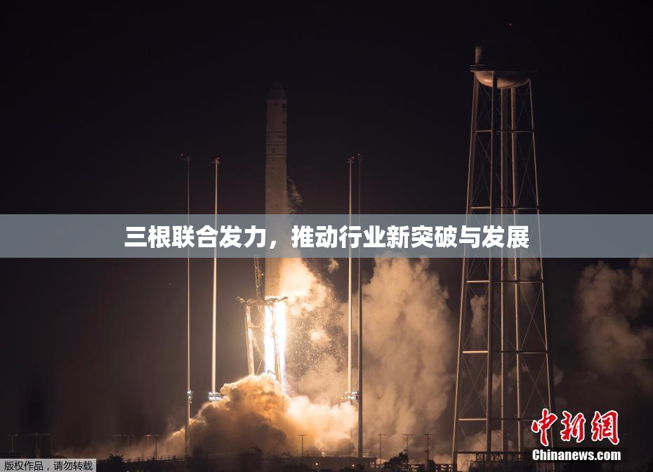 三根联合发力，推动行业新突破与发展