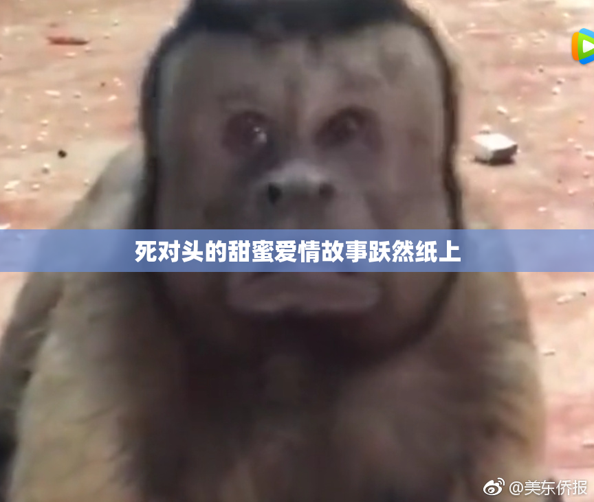 死对头的甜蜜爱情故事跃然纸上