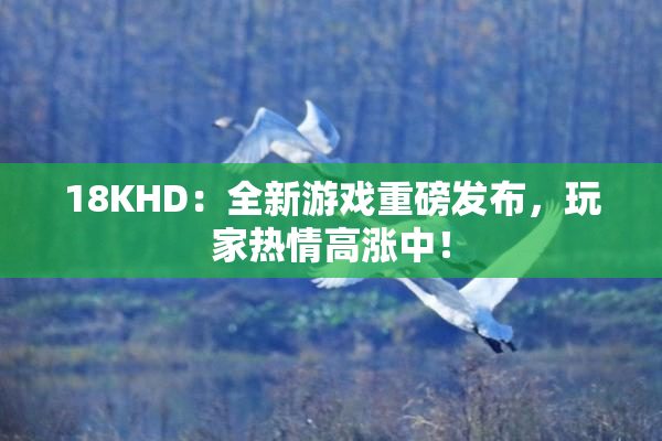 18KHD：全新游戏重磅发布，玩家热情高涨中！