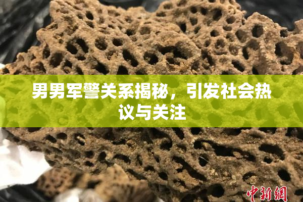 男男军警关系揭秘，引发社会热议与关注