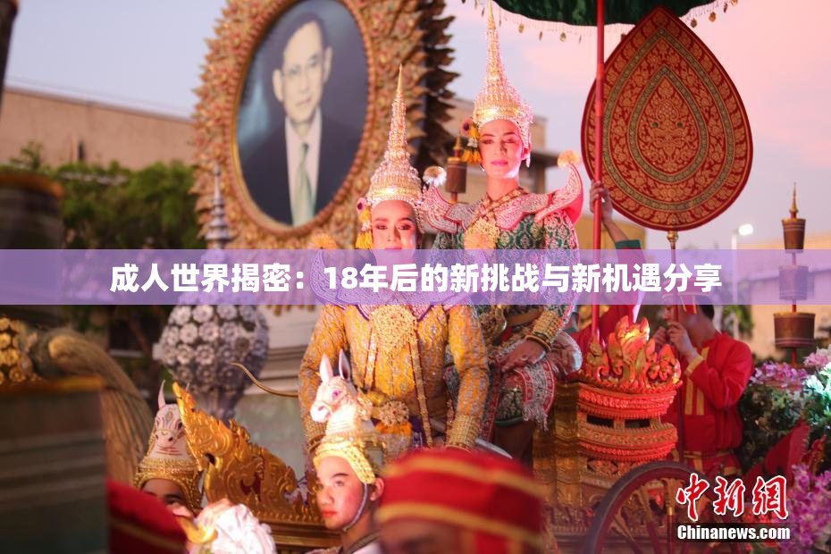 成人世界揭密：18年后的新挑战与新机遇分享