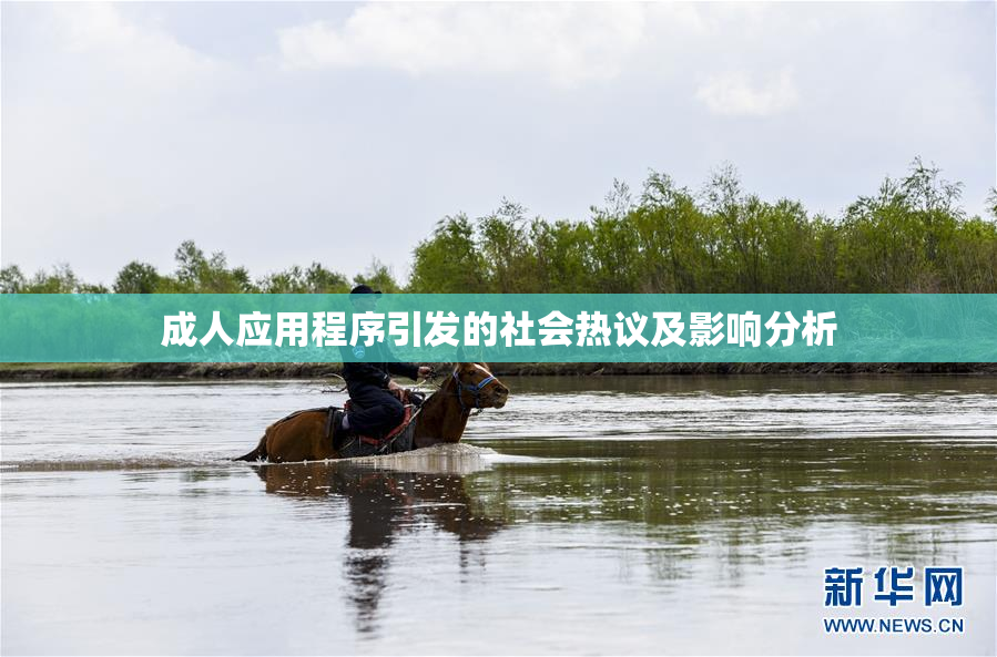 成人应用程序引发的社会热议及影响分析