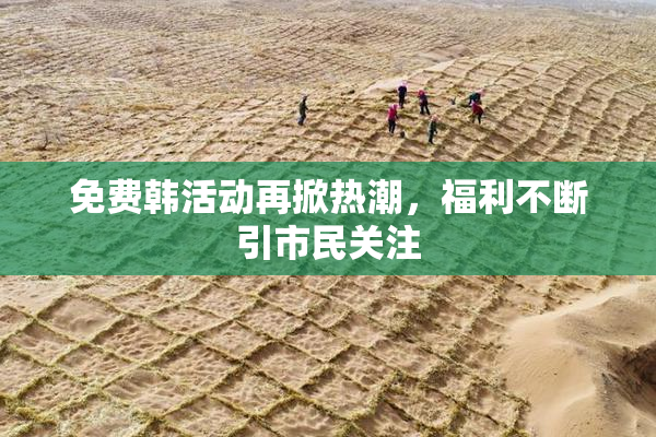 免费韩活动再掀热潮，福利不断引市民关注