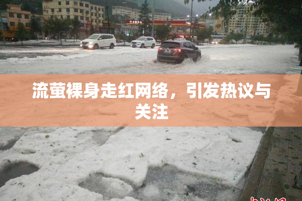 流萤裸身走红网络，引发热议与关注