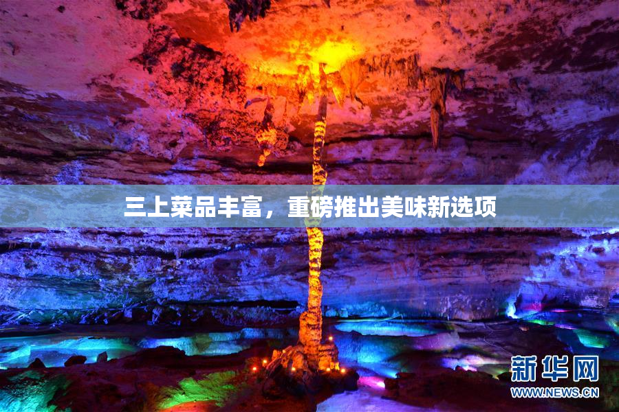 三上菜品丰富，重磅推出美味新选项