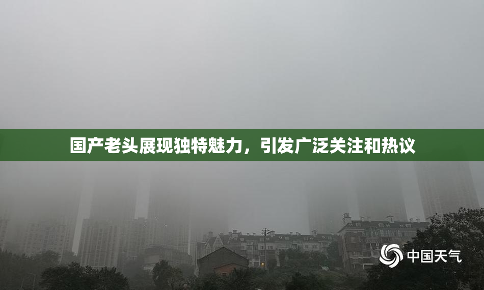 国产老头展现独特魅力，引发广泛关注和热议