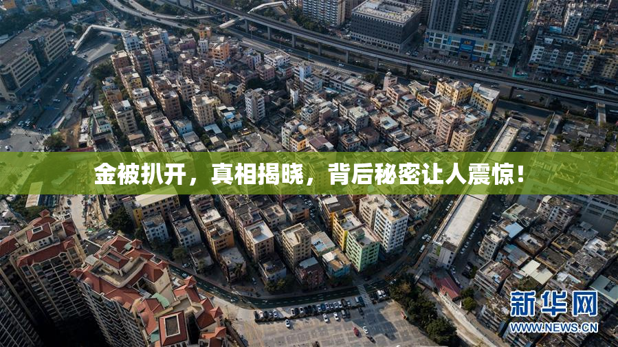 金被扒开，真相揭晓，背后秘密让人震惊！