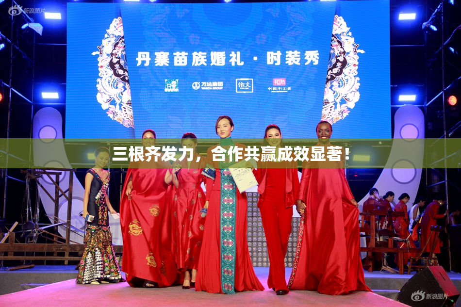 三根齐发力，合作共赢成效显著！