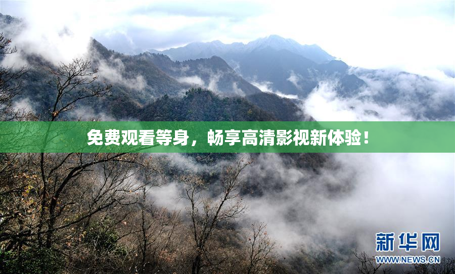免费观看等身，畅享高清影视新体验！