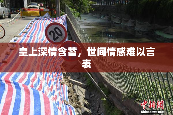 皇上深情含蓄，世间情感难以言表