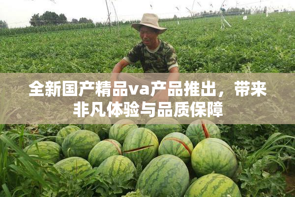 全新国产精品va产品推出，带来非凡体验与品质保障