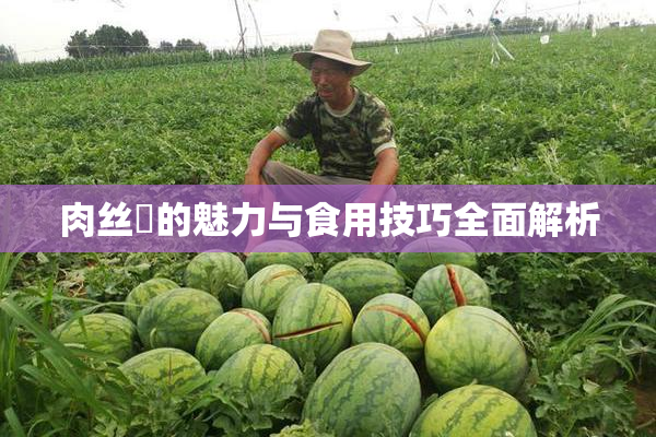 肉丝祙的魅力与食用技巧全面解析