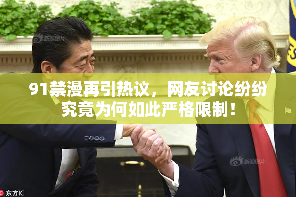 91禁漫再引热议，网友讨论纷纷究竟为何如此严格限制！