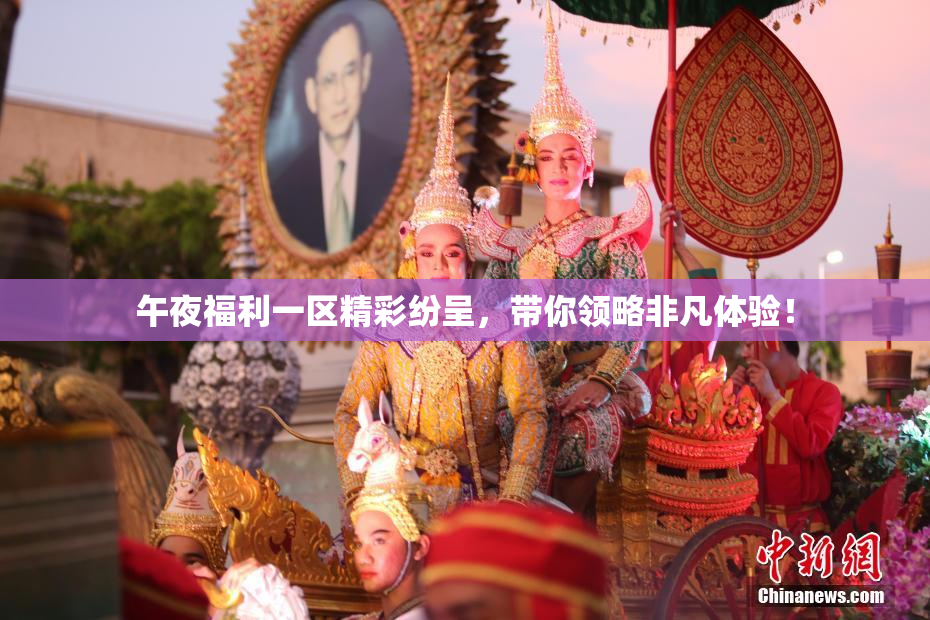 午夜福利一区精彩纷呈，带你领略非凡体验！