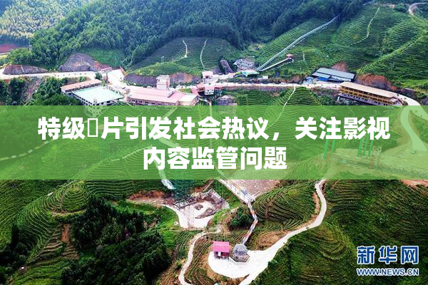 特级婬片引发社会热议，关注影视内容监管问题