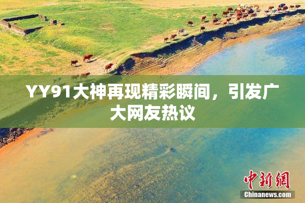 YY91大神再现精彩瞬间，引发广大网友热议