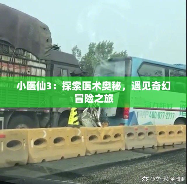 小医仙3：探索医术奥秘，遇见奇幻冒险之旅