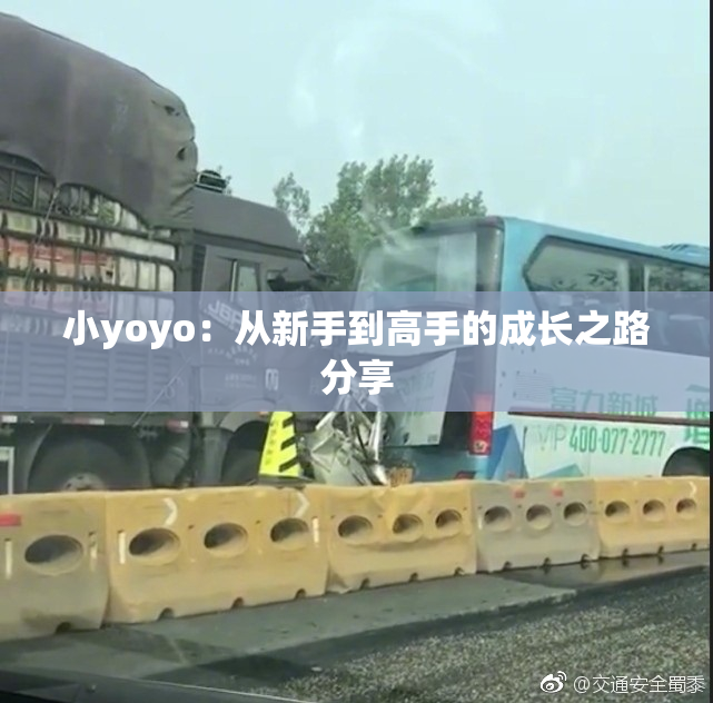 小yoyo：从新手到高手的成长之路分享