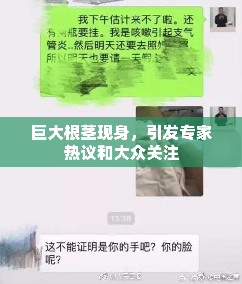 巨大根茎现身，引发专家热议和大众关注