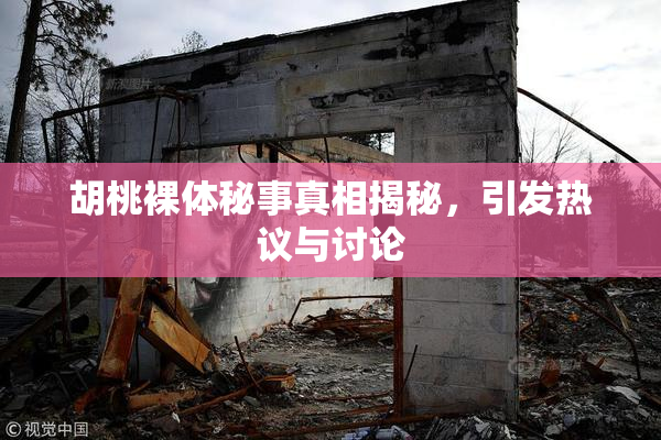胡桃裸体秘事真相揭秘，引发热议与讨论