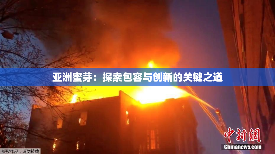 亚洲蜜芽：探索包容与创新的关键之道