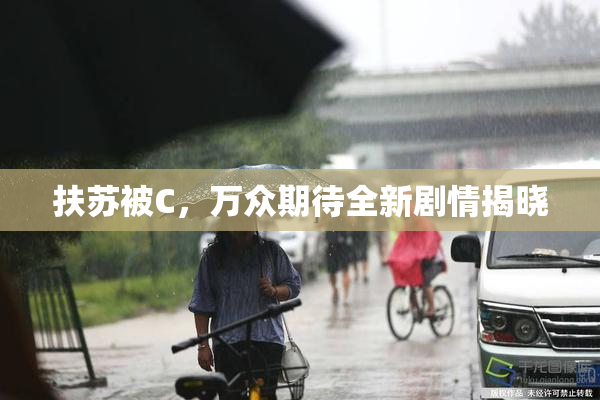 扶苏被C，万众期待全新剧情揭晓