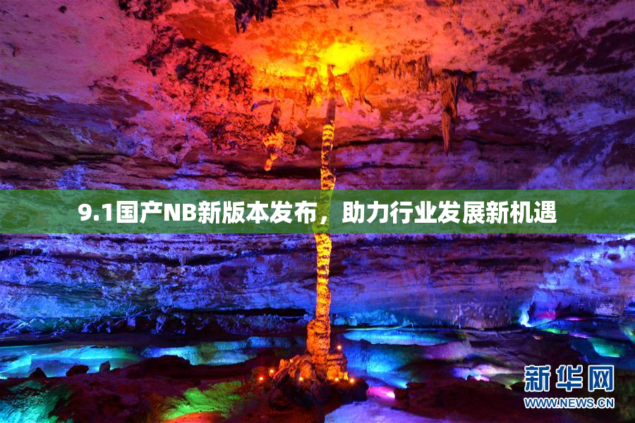 9.1国产NB新版本发布，助力行业发展新机遇
